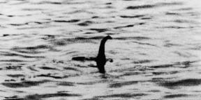Tutkijat puhui Loch Nessin hirviö DNA
