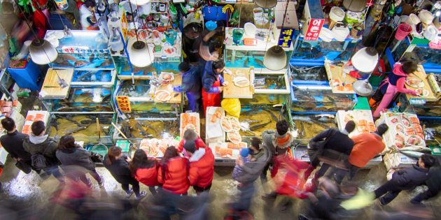 Nähtävyydet Etelä-Korea: se on tarpeen käydä kalamarkkinoilla