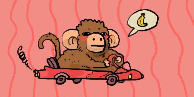 Apina ajaa